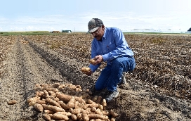 Supporting American Farmers