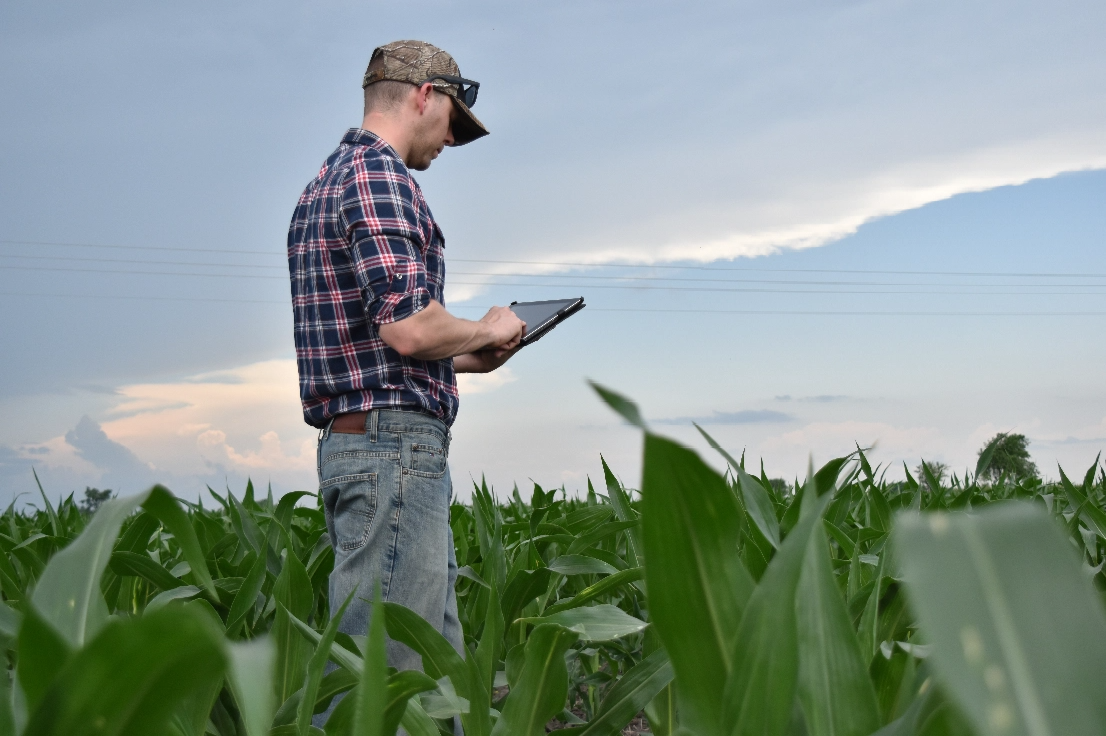 Farmer in the field