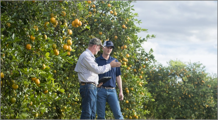 Sales people out in the field